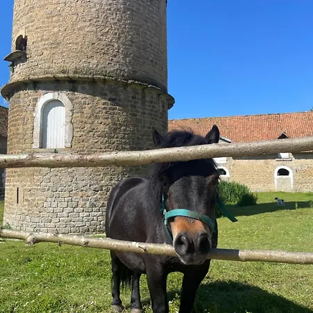 Domaine Du Saaj Cote Opale 4 Personnes Semesterbostad